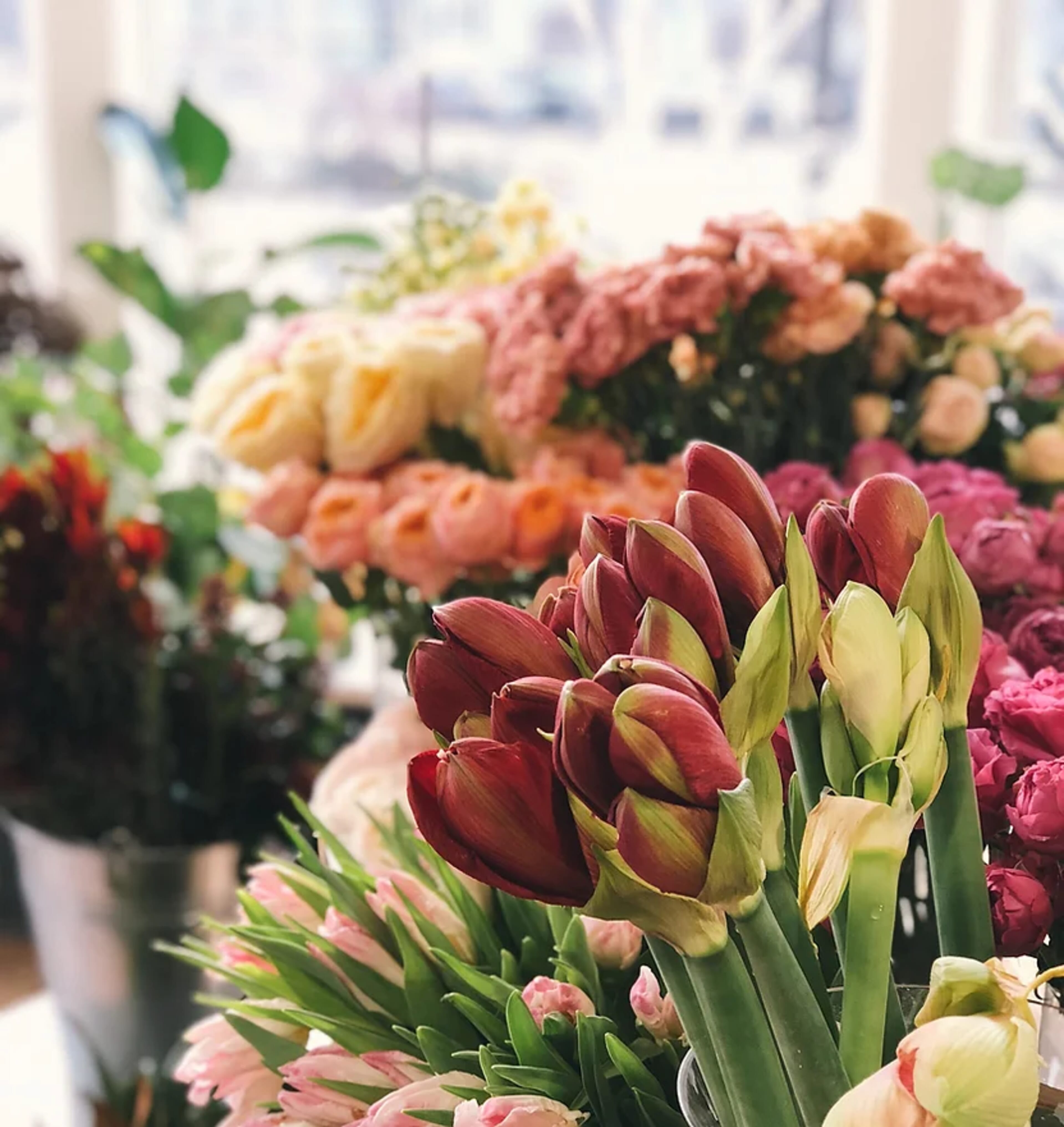 Flowers arranged by Frangipani Florist