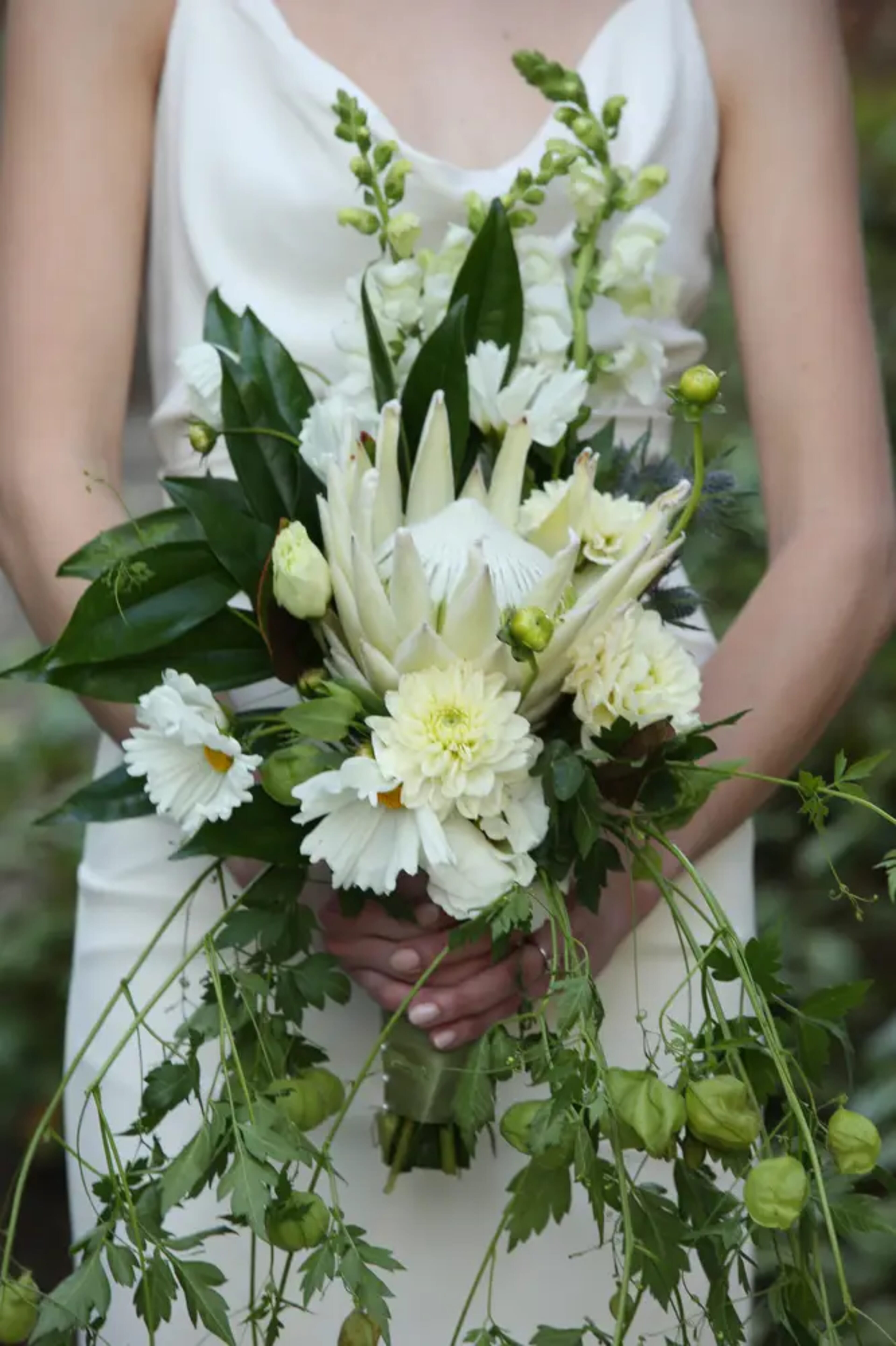 Corrado & Isabella wedding flowers by Frangipani Florist, photo 6 of 13