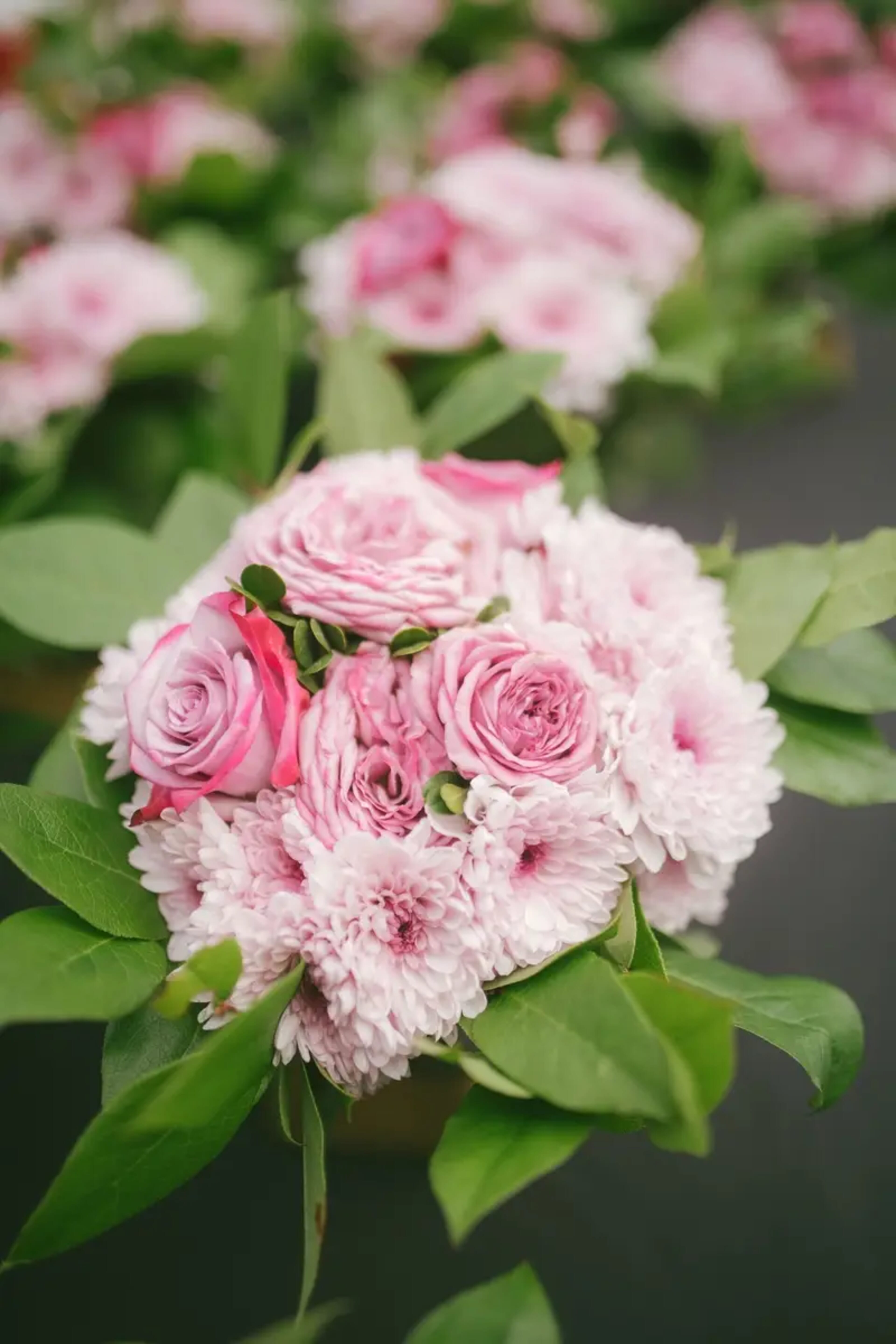 Pam & Michael wedding flowers by Frangipani Florist, photo 13 of 14