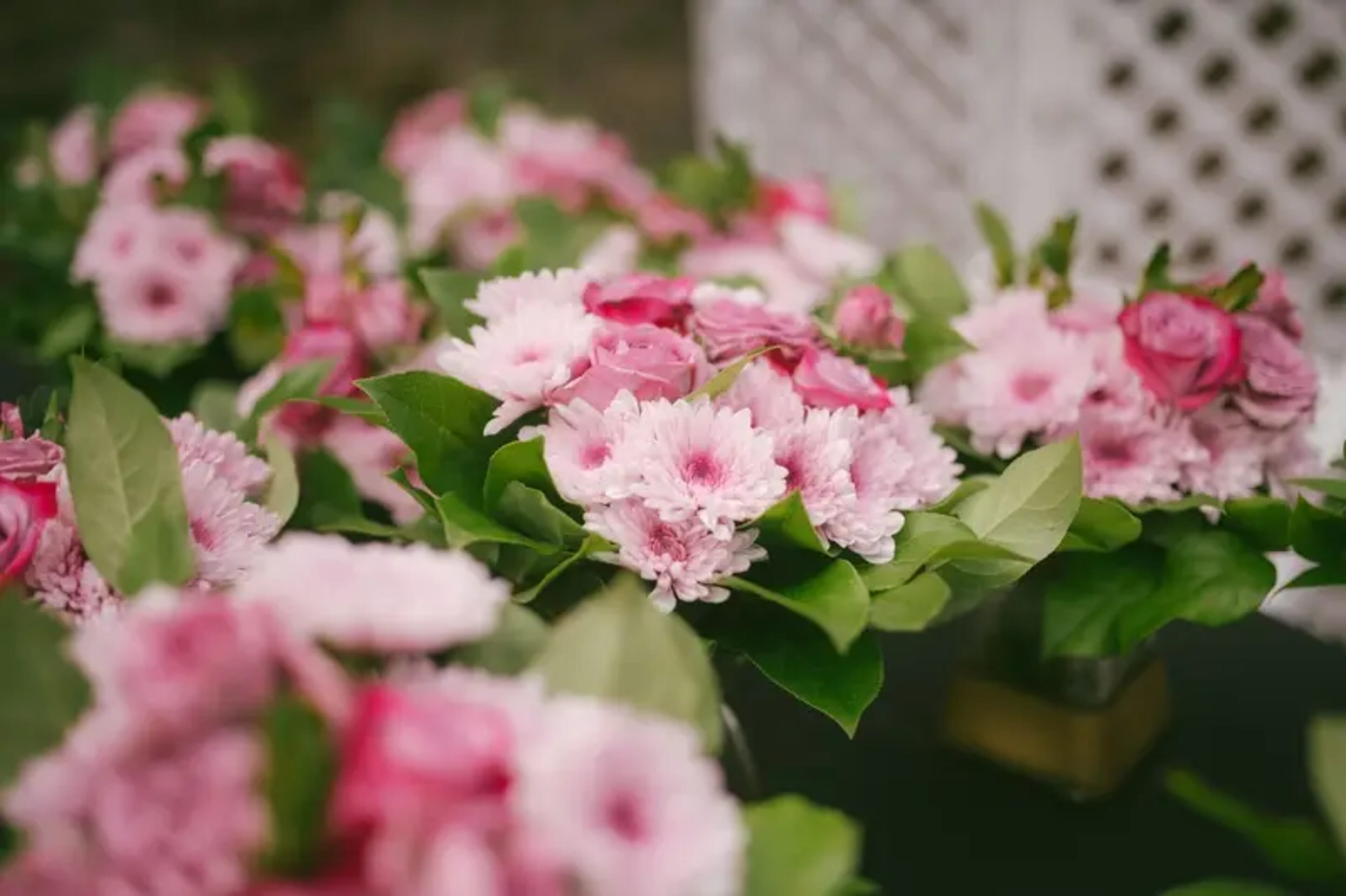 Pam & Michael wedding flowers by Frangipani Florist, photo 5 of 14