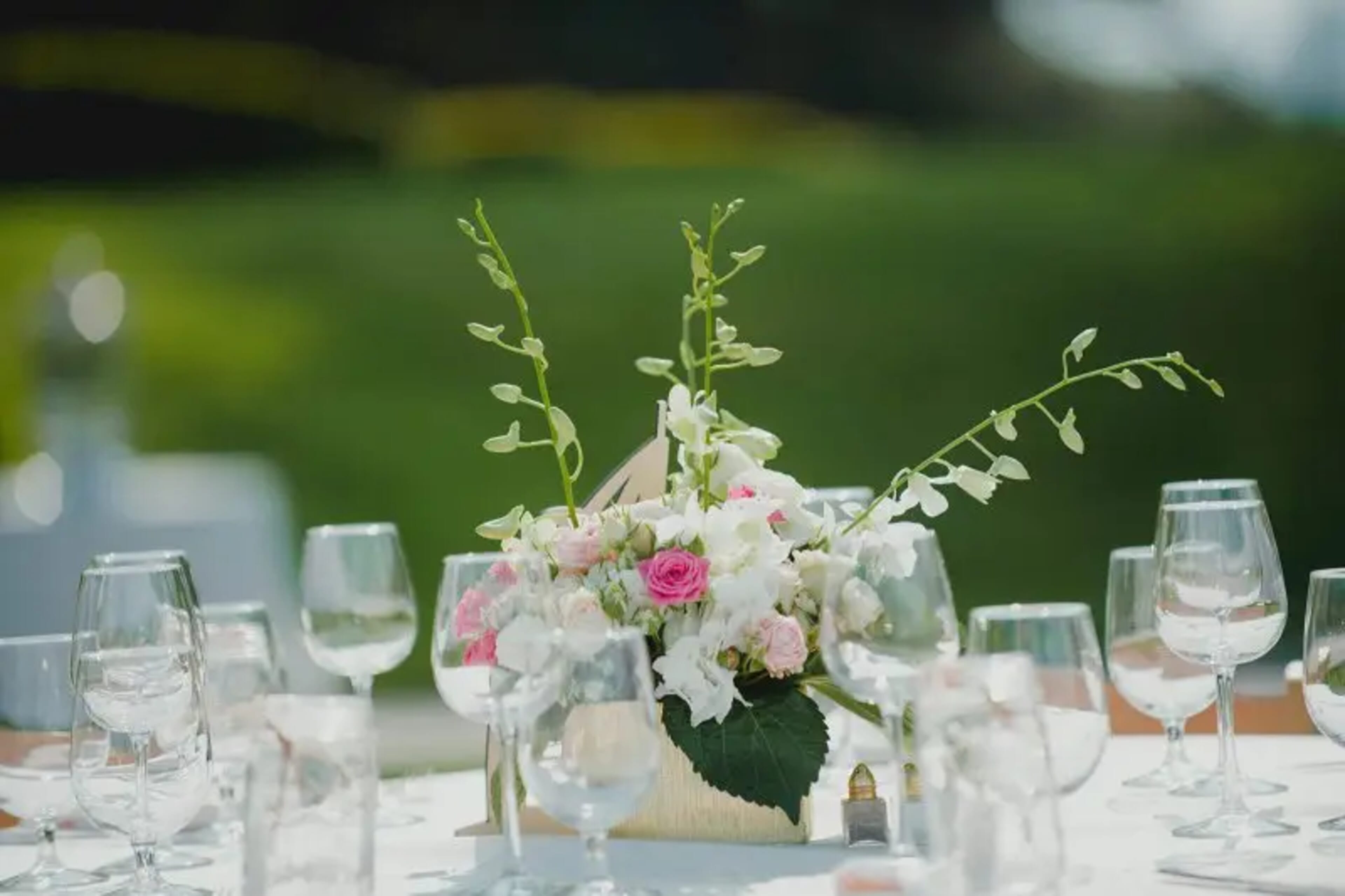 Celebration flowers by Frangipani Florist