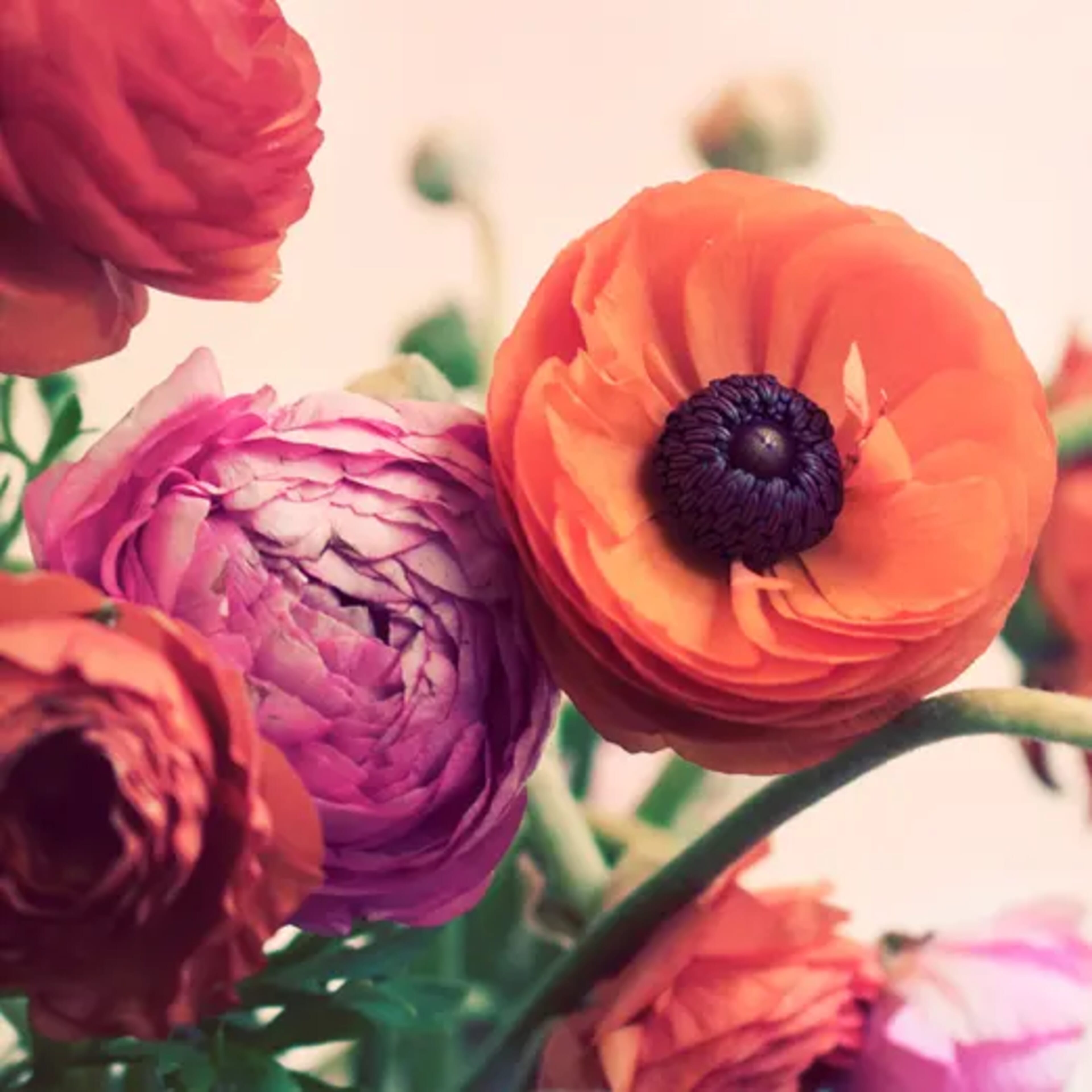 Event flowers by Frangipani Florist in Marin County